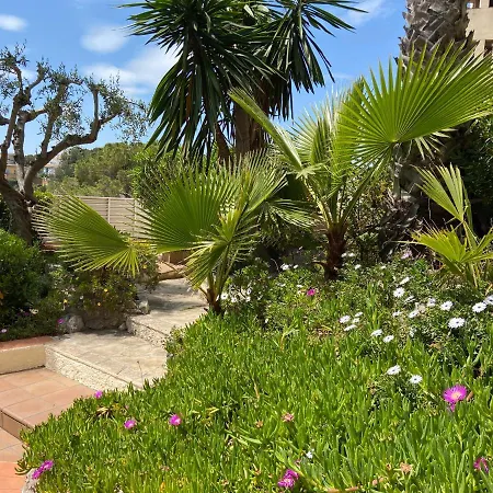 Apartment Karin Palma Fiesta-vallpineda-sitges *